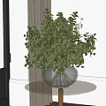 Green Eucalyptus Foliage In Transparent Glass Vase On Round Glass Table With Natural Light