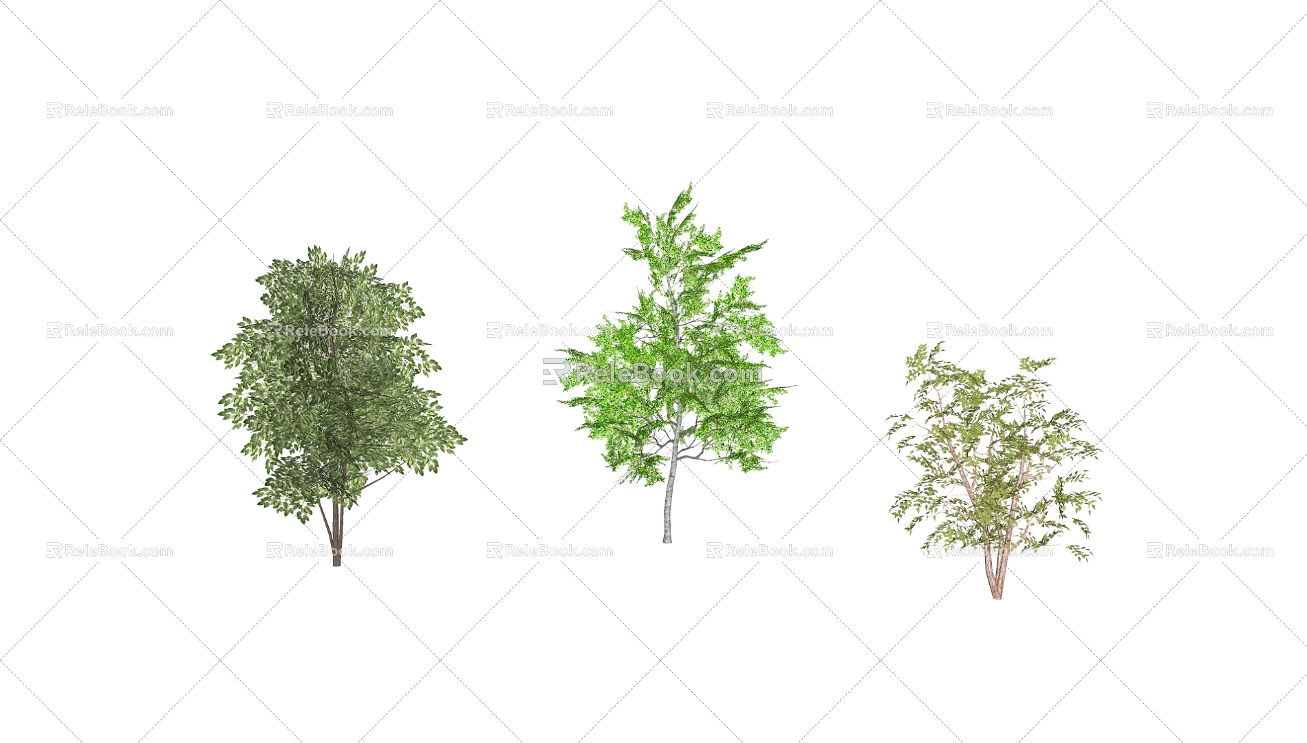 Tree 3d model