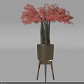 Red Maple Leaf Plant With Multiple Trunks In Brown Pot On Wooden Tripod Stand
