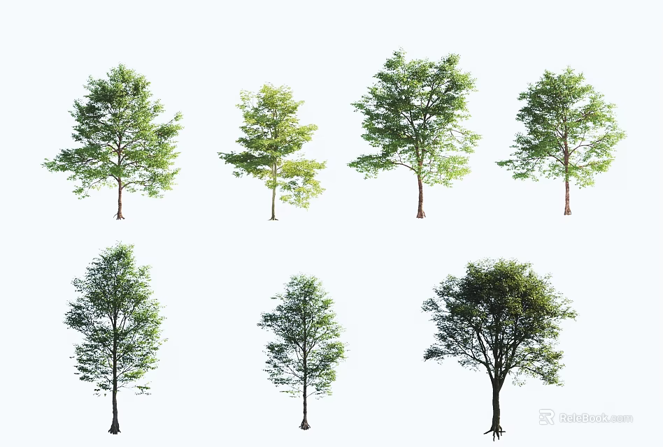 Diverse Arbor Varieties with Lush Green Foliage and Unique Trunk Forms 3d model