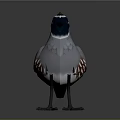 Standing Quail Bird With Red Blue Head Feathers And Gray Spotted Body