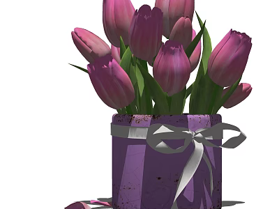 Pink Tulips in Purple Box Shaped Vase with White Ribbon Bow and Scattered Petals 3d model