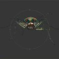 Close up view of colorful metallic beetle with iridescent exoskeleton on dark background