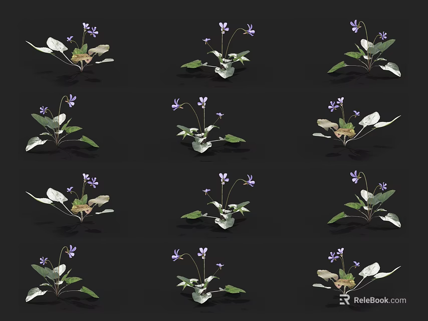 Vibrant Purple Garden Flowers With Green Leaves In Multiple Arrangements 3d model 