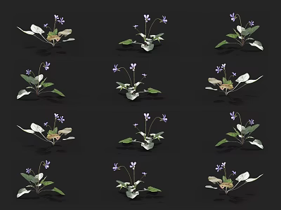 Vibrant Purple Garden Flowers With Green Leaves In Multiple Arrangements 3d model