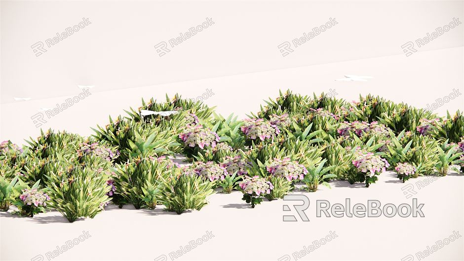 Modern Plant Flower Border Plant Group model