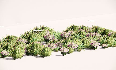 Modern Plant Flower Border Plant Group 3d model