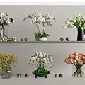 Colorful Flowers in Vases Including Orchids Roses Arranged on Shelves with Decorative Balls