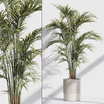Vibrant Potted Plant With Lush Palm Leaves In Modern Textured Pot For Indoor Decor 3d model