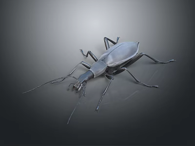 Black Beetle With Long Antennae And Legs On Dark Gradient Background 3d model