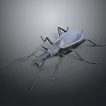 Black Beetle With Long Antennae And Legs On Dark Gradient Background