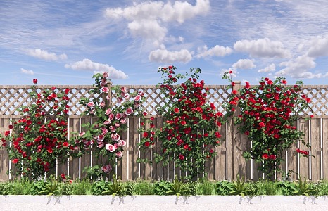 Modern Vine Garden Climbing Vine Rose Flower Vine Green Plant Landscape Plant Wall 3d model