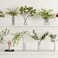 Various Decorative Vases With Different Flowers Green Foliage And Red Blooms On Shelves