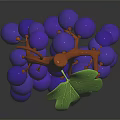 Fresh Ripe Purple Grapes With Green Leaves And Brown Vine On Dark Background