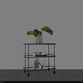 Metal Rolling Cart With Monstera Plant Magazines And Small Bowls