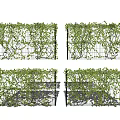 Lush Green Vines Growing On Trellis Fence For Outdoor Garden Decoration