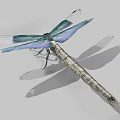 Realistic Dragonfly with Vibrant Blue and Purple Transparent Wings and Green Body as Flying Insect