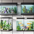 Wall Mounted Aquariums with Colorful Fish Live Plants and Decorations