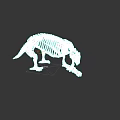 Dinosaur Skeleton Model With Detailed Bone Structure And Natural Posture