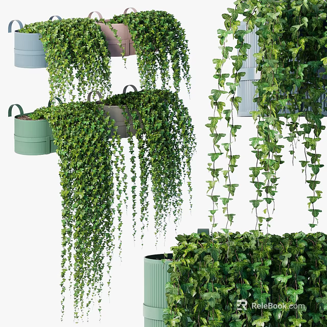 Lush Leafy Green Vines Cascading From Hanging Decorative Pots And Containers 3d model 