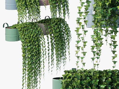 Lush Leafy Green Vines Cascading From Hanging Decorative Pots And Containers 3d model