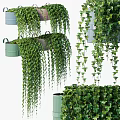 Lush Leafy Green Vines Cascading From Hanging Decorative Pots And Containers