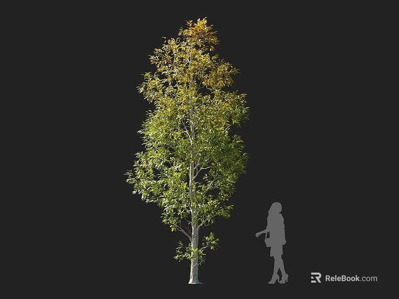 Tall Arbor With Green Yellow Leaves And Human Silhouette For Size Reference 3d model 