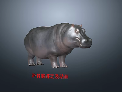 High Quality Hippopotamus 3D Character Model With Rigging And Animation 3d model