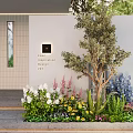 Layered Outdoor Plant Combination Featuring Small Olive Tree White Pink Blue Flowers Green Shrubs Herbs