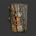 Natural Rustic Wooden Tree Stump With Surface Cracks And Stone Like Texture