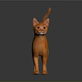 Orange Cat Standing Alert With Shiny Fur On Dark Reflective Floor 3d model