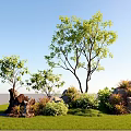 Lush Courtyard Garden Featuring Green Lawn Trees Rocks Bushes And Blue Sky