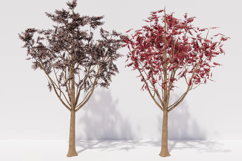 Two Arbor Trees With Dark And Red Leaves Displaying Vibrant Foliage In White Background 3d model 