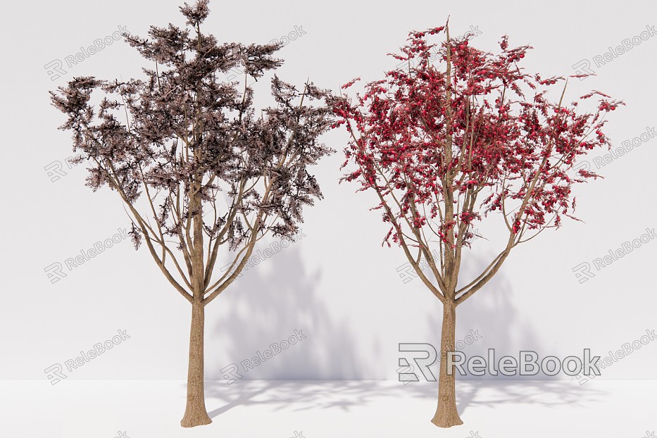 modern tree red-leaf plum arbor plant model