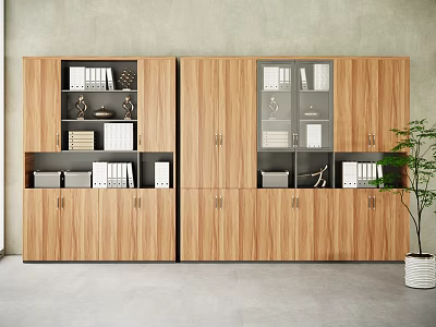 Modern Wooden Bookcase Interior Design With Glass Doors Open Shelves And Binders 3d model