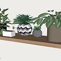 Stylish Indoor Bonsai Potted Plants Display With Shelves And Various Greenery