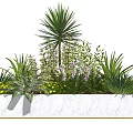Diverse Garden Flowers and Plants with Purple Blooms Yellow Flowers and Green Leaves