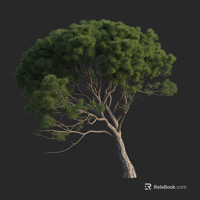 Lush Green Tree With Dense Foliage And Textured Trunk Against Black Background 3d model 