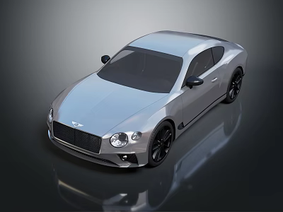 Silver Luxury Coupe Car With Sleek Design And Black Alloy Wheels 3d model