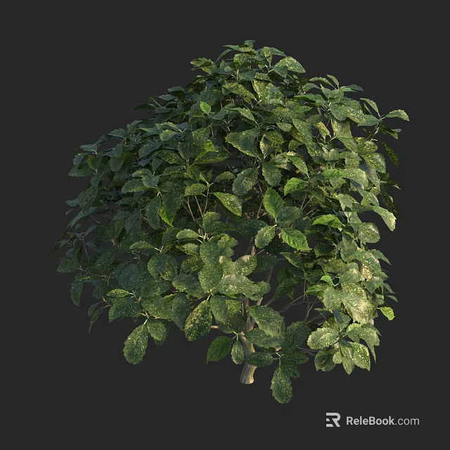 Vibrant Green Shrub With Lush Foliage And Dense Leaves For Garden Landscaping 3d model 