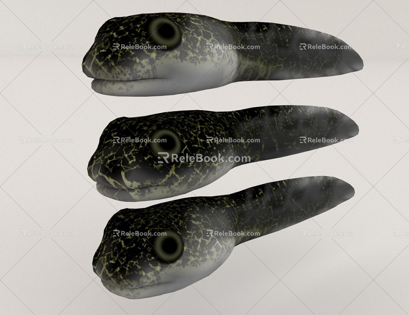 Tadpole Frog 3d model