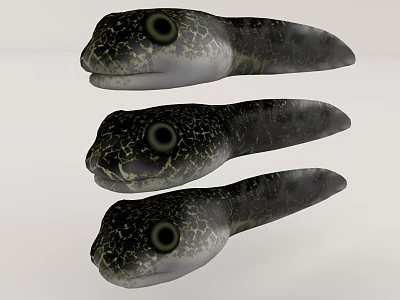 Three Aquatic Animals With Black Skin Yellow Spots Long Body And Large Eyes 3d model