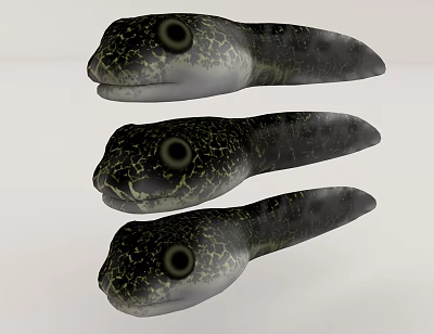 Three Aquatic Animals With Black Skin Yellow Spots Long Body And Large Eyes 3d model