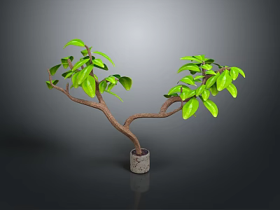 Green Leafy Plant With Brown Branches In Gray Pot For Indoor Decor 3d model