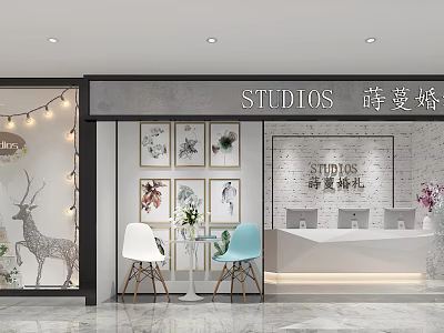 Elegant Bridal Studio Mall Store with Decorative Paintings Green Plants and Front Desk 3d model