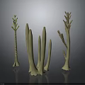 Decorative Cream White Plant Sculptures With Various Shapes On Gray Black Reflective Surface