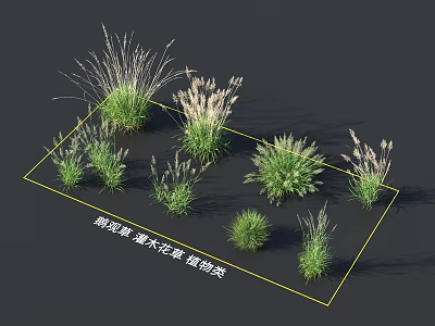 Different Herbaceous Plants And Shrubs With Stone Plant Varieties For Garden 3d model