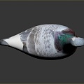 Pigeon Edible Pigeon Play Pigeon Racing Pigeon Military Pigeon Experimental Pigeon Wild Pigeon Rock Pigeon Raw Pigeon 3d model