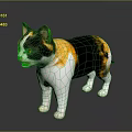 Tricolor Cat Standing On Reflective Surface With Black Orange White Fur And Bright Eyes