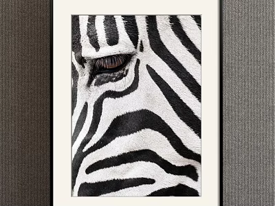Modern Animal Painting Simple Black and White Children's Room Animal Zebra Decorative Painting 3d model